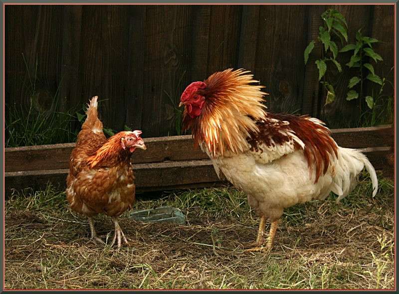 ��� ���� �������,��������? ����� �������  �� PhotoGeek.ru #�������� ���