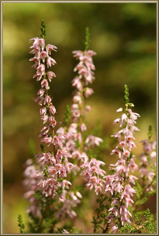 ������ ����� �������  �� PhotoGeek.ru #������ ��� ������� #����� ��������������