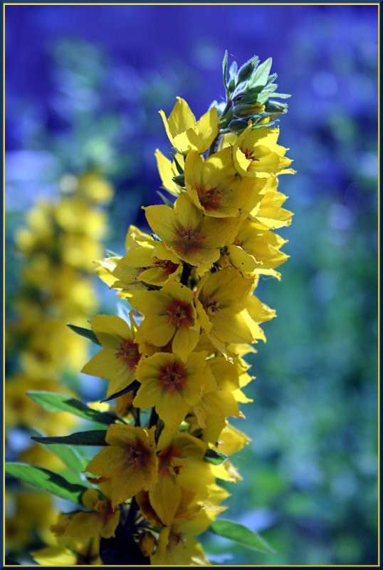 ������ �� ����� ����� �������  �� PhotoGeek.ru #������ ��� ������� #����� ��������������