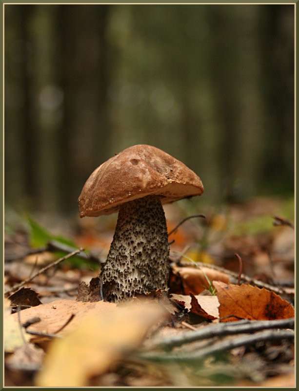 ����������!!! ����� �������  �� PhotoGeek.ru #������ ��� �������