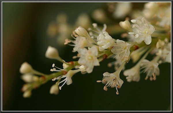 ... ����� �������  �� PhotoGeek.ru #������ ��� ������� #����� ��������������