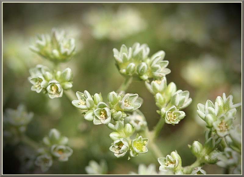 ... ����� �������  �� PhotoGeek.ru #������ ��� ������� #����� ��������������