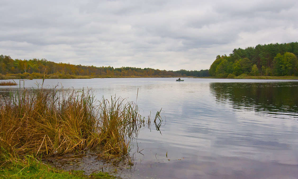 �� ������� ����� �������  �� PhotoGeek.ru #������ ��� �������