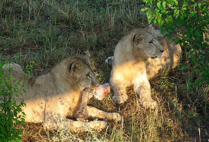 ������ ����� �������  �� PhotoGeek.ru #�������� ���