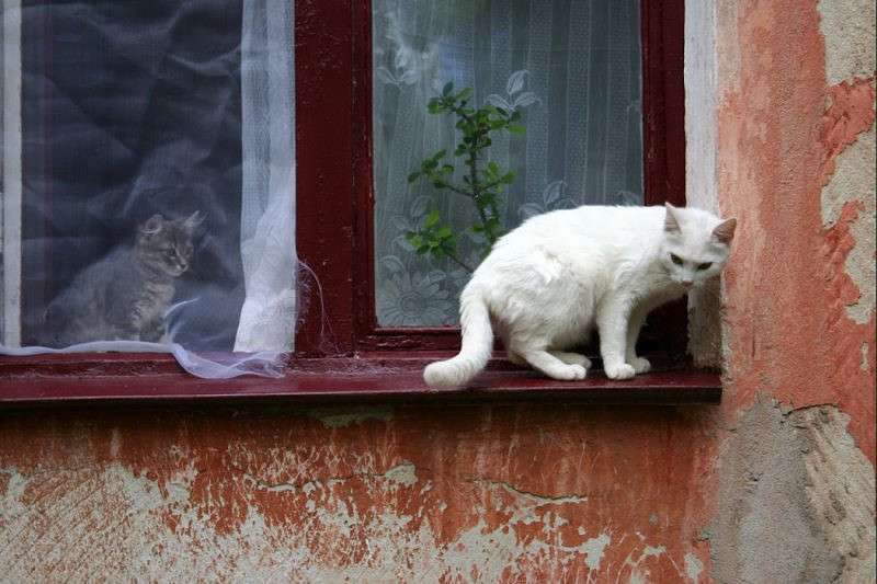 �� ����� ����� �������  �� PhotoGeek.ru #�������� ��� #�������� ����������