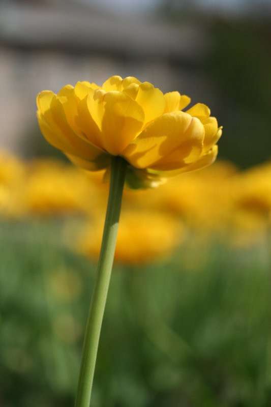 ������ �������� ����� �������  �� PhotoGeek.ru #������ ��� ������� #����� ��������������