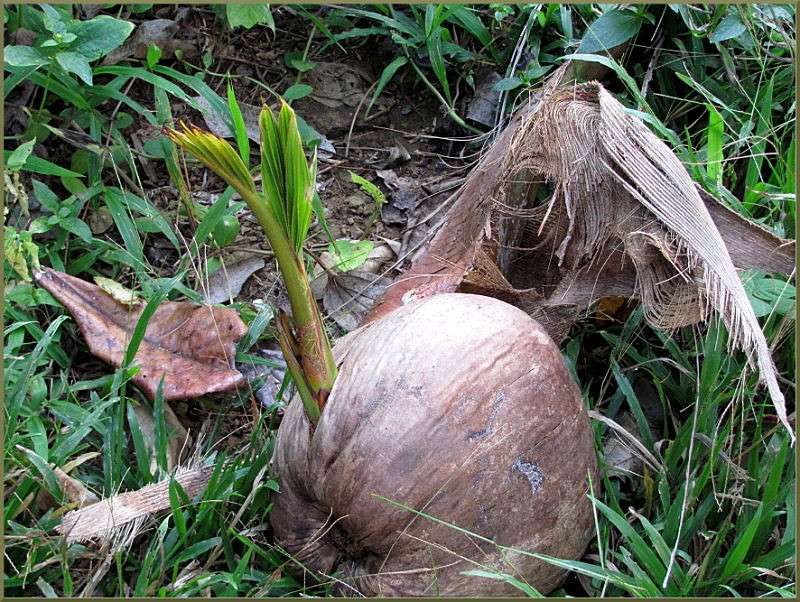 ������ ����� �������  �� PhotoGeek.ru #������ ��� ������� #����� ��������������