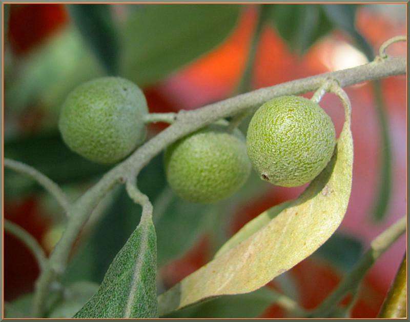 ��� ����������� ����� �������  �� PhotoGeek.ru #������ ��� ������� #����� ��������������