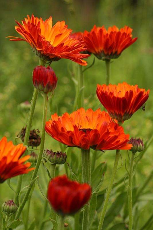 ... ����� �������  �� PhotoGeek.ru #������ ��� ������� #����� ��������������