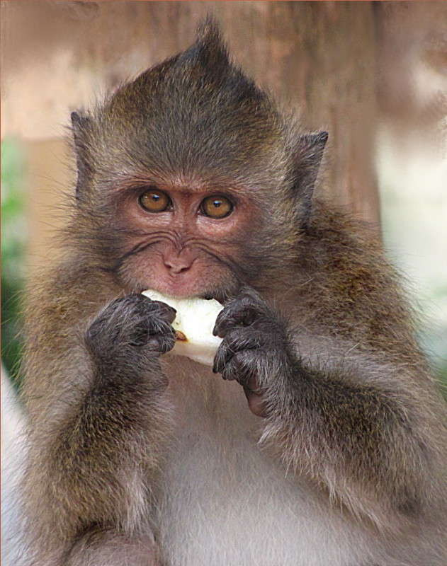 �� ������ �� ����... ����� �������  �� PhotoGeek.ru #�������� ���