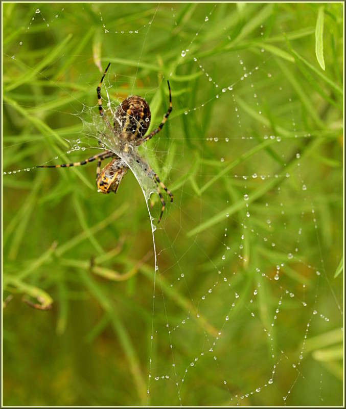 ���� ����� �������  �� PhotoGeek.ru #�������� ��� #������ ��� �������