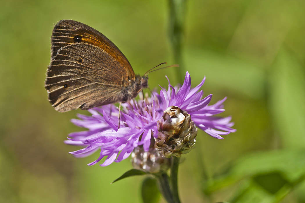 ���� ����� �������  �� PhotoGeek.ru #������ ��� �������