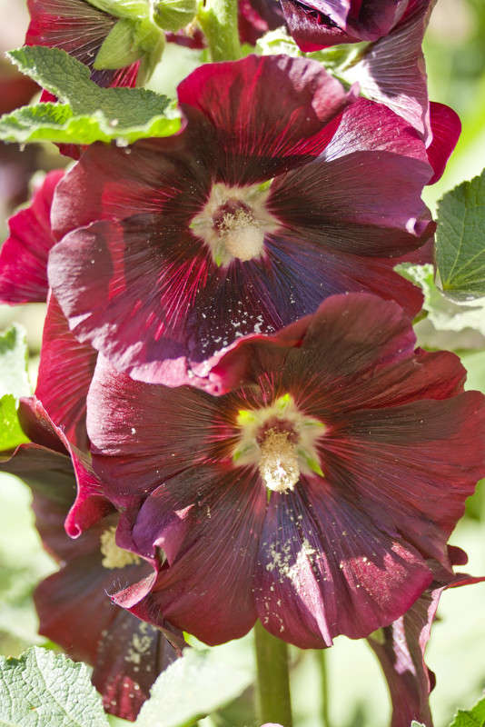 ������ ����� �������  �� PhotoGeek.ru #������ ��� ������� #����� ��������������