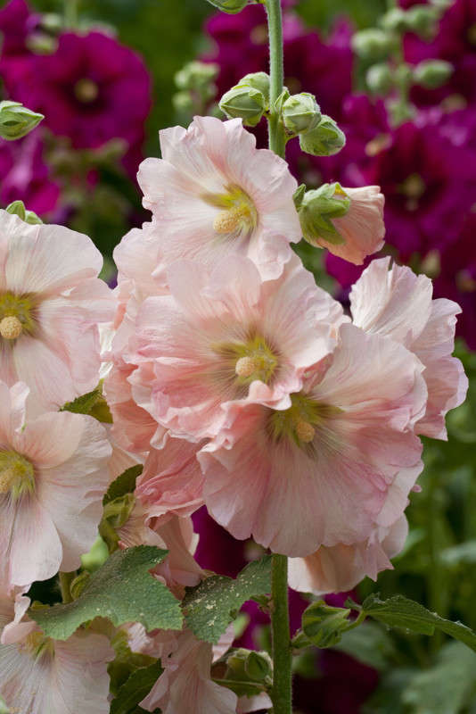 ������ ����� �������  �� PhotoGeek.ru #������ ��� ������� #����� ��������������