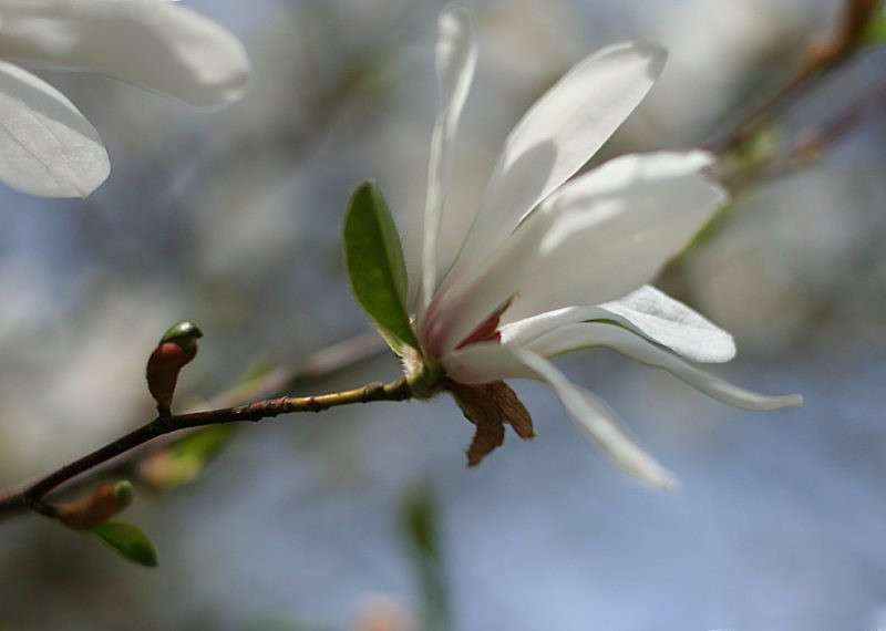 ��� ����� �������  �� PhotoGeek.ru #������ ��� ������� #����� ��������������