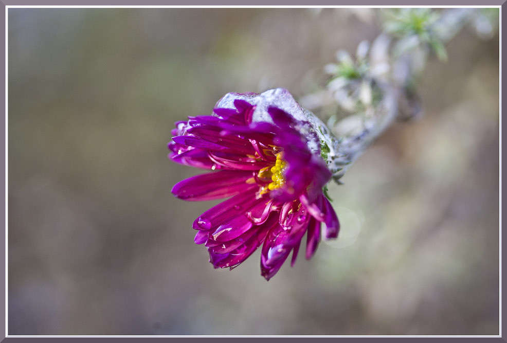 ��� ������ ����� �������  �� PhotoGeek.ru #������ ��� ������� #����� ��������������