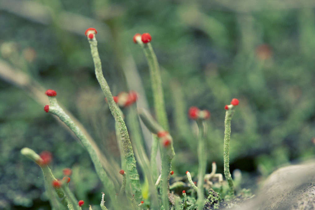 �����2 ����� �������  �� PhotoGeek.ru #����� #������ ��� �������