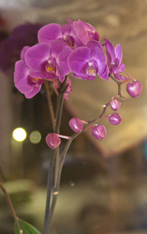 ������� ����� �������  �� PhotoGeek.ru #������ ��� ������� #����� ��������������