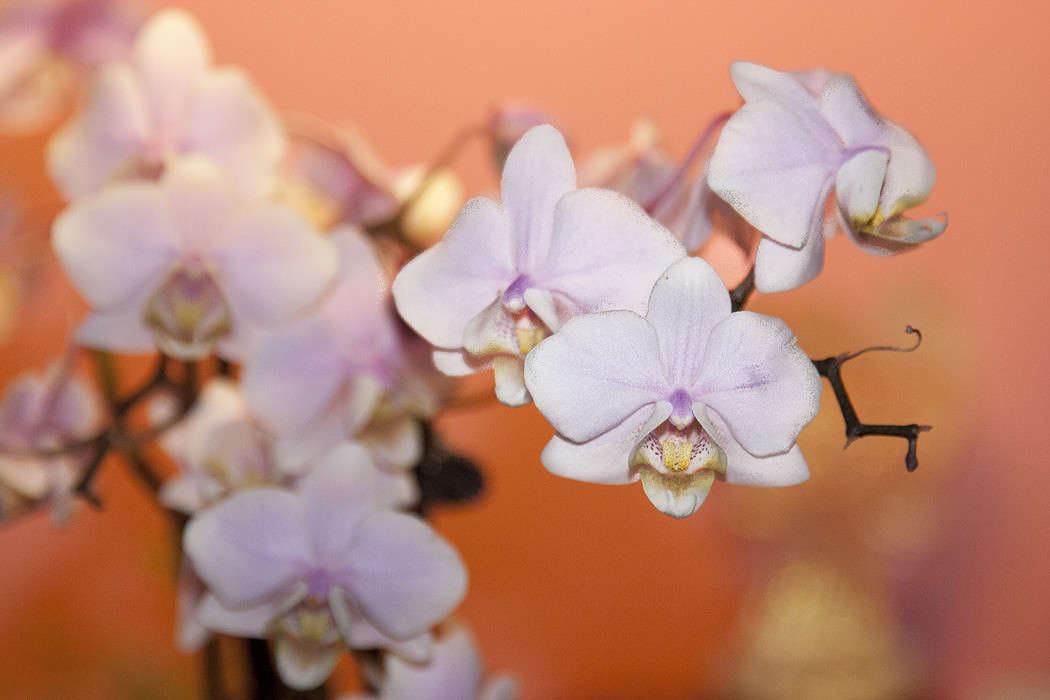 ��� ��������� ����� ����� �������  �� PhotoGeek.ru #������ ��� ������� #����� ��������������