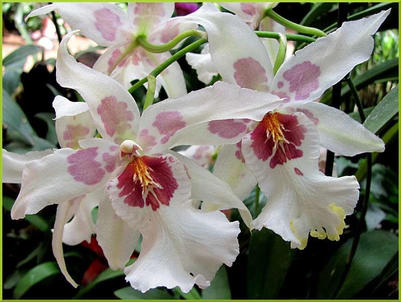 ������� ����� �������  �� PhotoGeek.ru #������ ��� ������� #����� ��������������