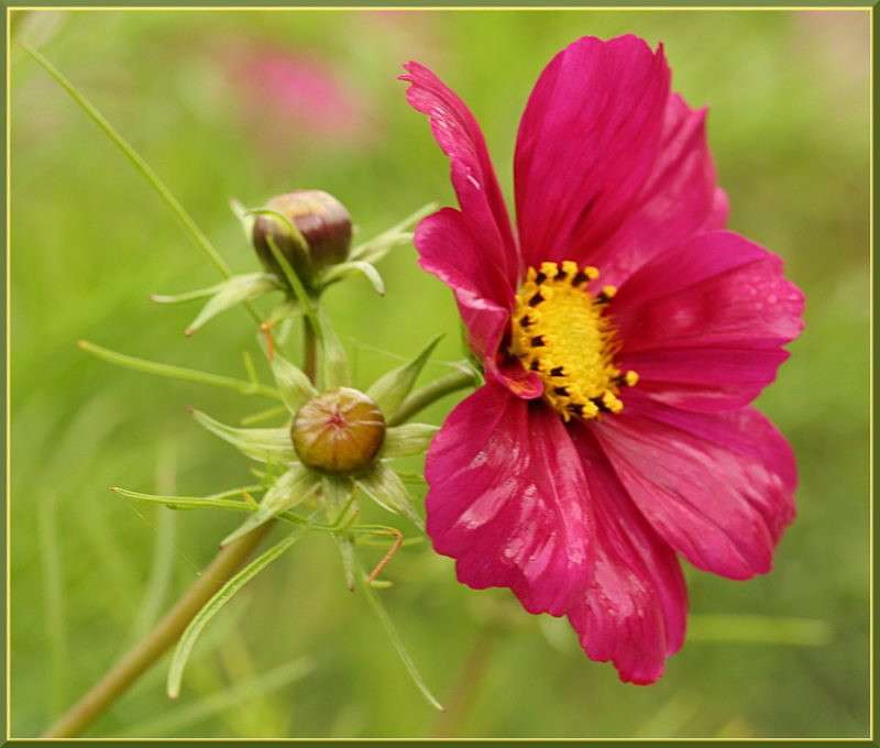 ... ����� �������  �� PhotoGeek.ru #������ ��� ������� #����� ��������������