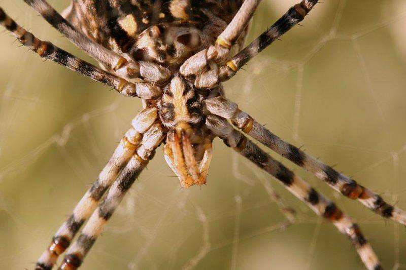 ������� ����� �������  �� PhotoGeek.ru #�������� ���