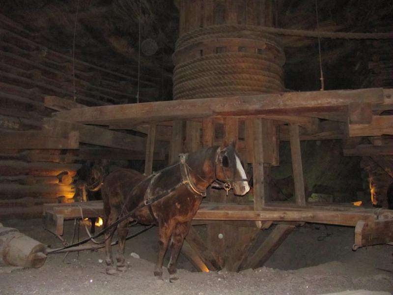 ������� ���� ������� ����� �������  �� PhotoGeek.ru #�������� ����������