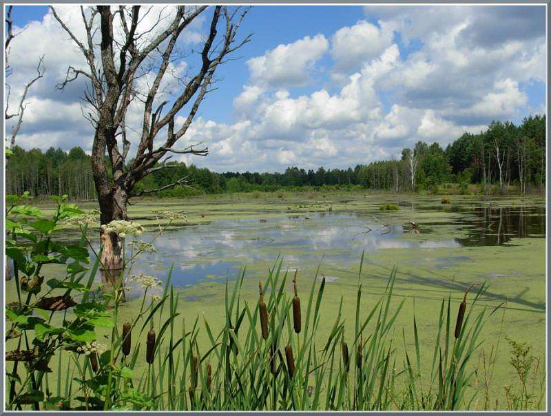 � ����� ����� ����� �������  �� PhotoGeek.ru #������ ��� �������