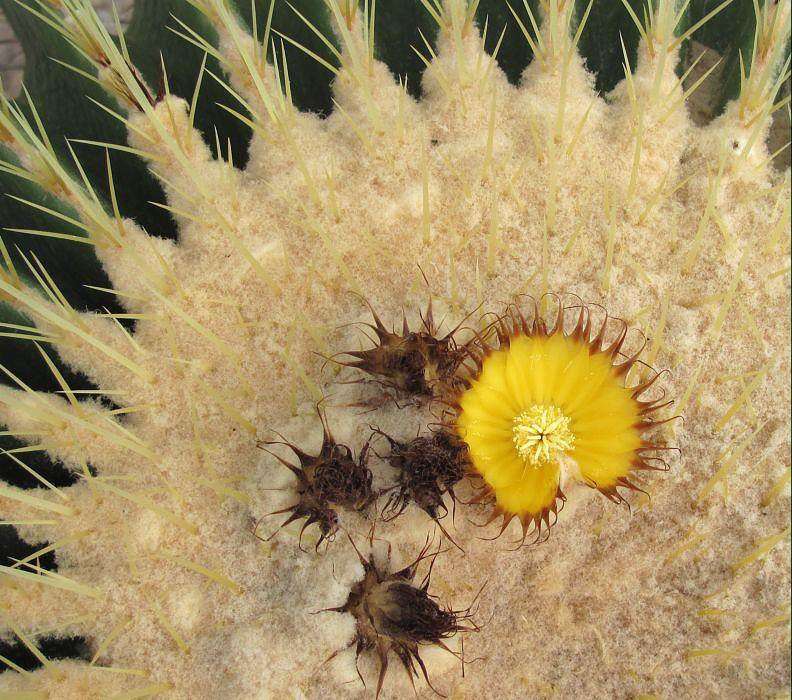 ������� ������������... ����� �������  �� PhotoGeek.ru #������ ��� ������� #����� ��������������