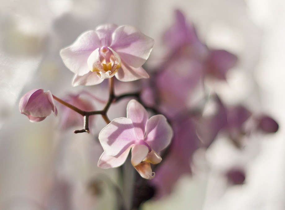 ������� ����� �������  �� PhotoGeek.ru #������ ��� ������� #����� ��������������