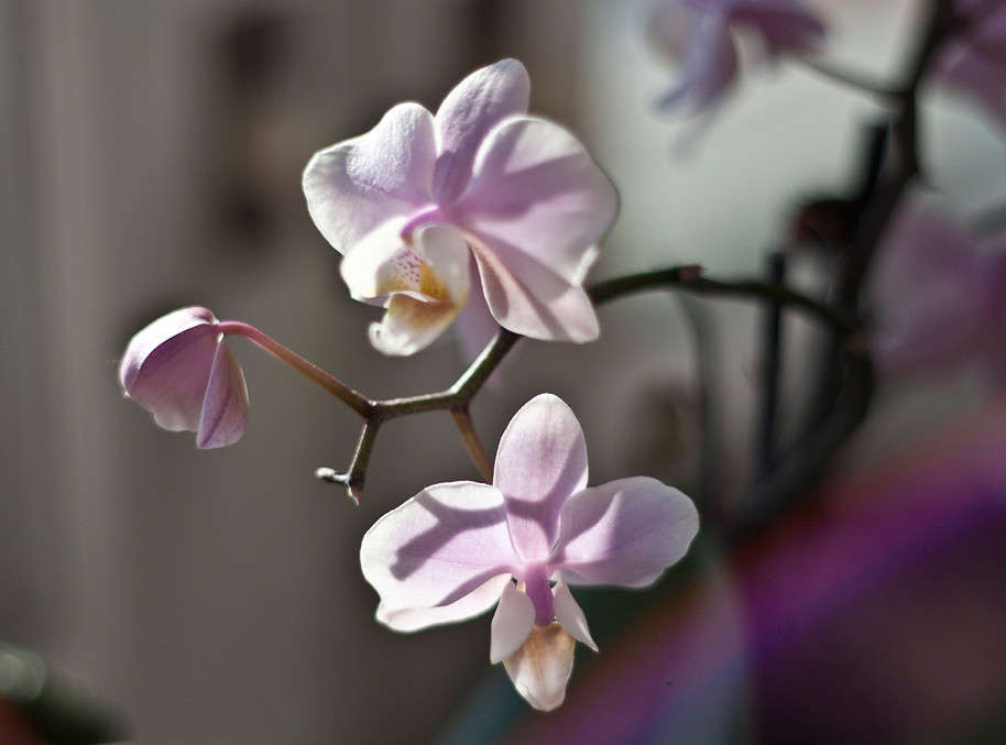 ������� ����� �������  �� PhotoGeek.ru #������ ��� ������� #����� ��������������