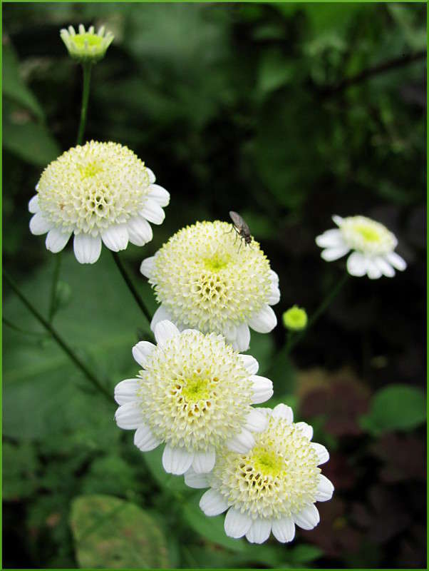 ... ����� �������  �� PhotoGeek.ru #������ ��� ������� #����� ��������������