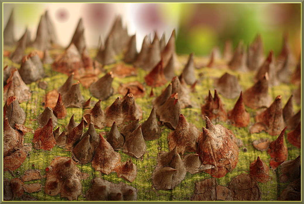 ������� ������ ����� �������  �� PhotoGeek.ru #������ ��� ������� #����� ��������������