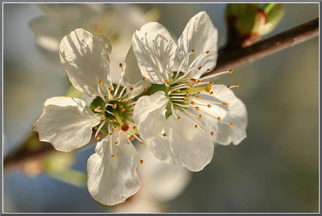 ������ � �����. ����� �������  �� PhotoGeek.ru #����� #������ ��� ������� #����� ��������������