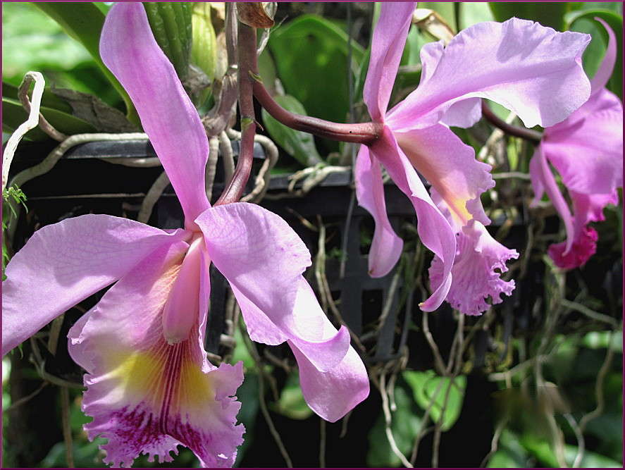 ������� ����� �������  �� PhotoGeek.ru #������ ��� ������� #����� ��������������