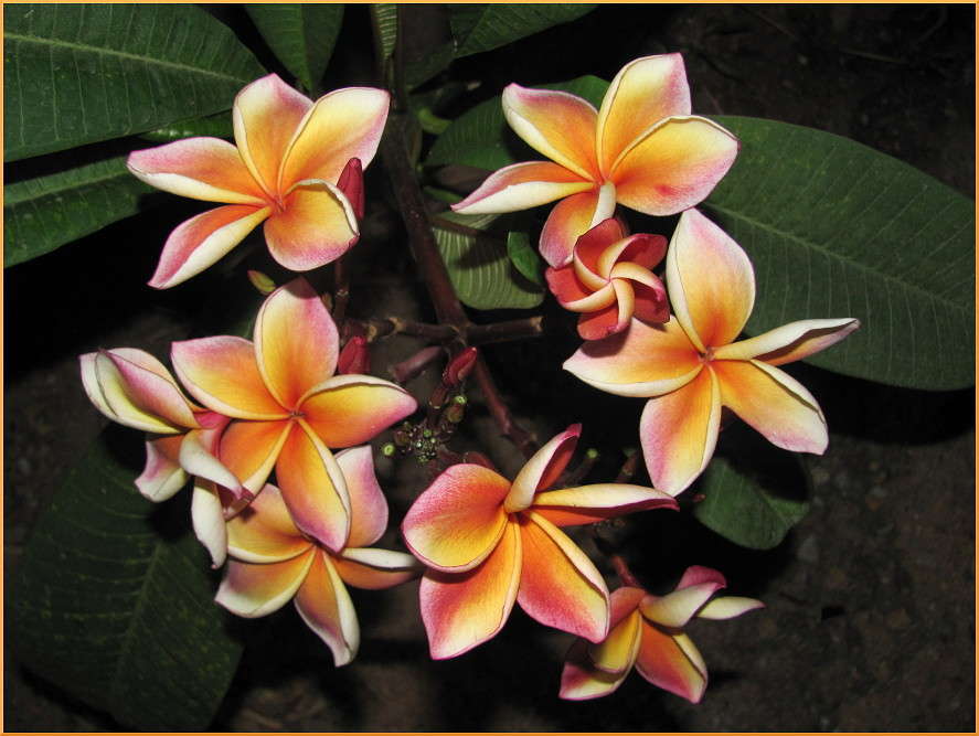 �������� ����� �������  �� PhotoGeek.ru #������ ��� ������� #����� ��������������