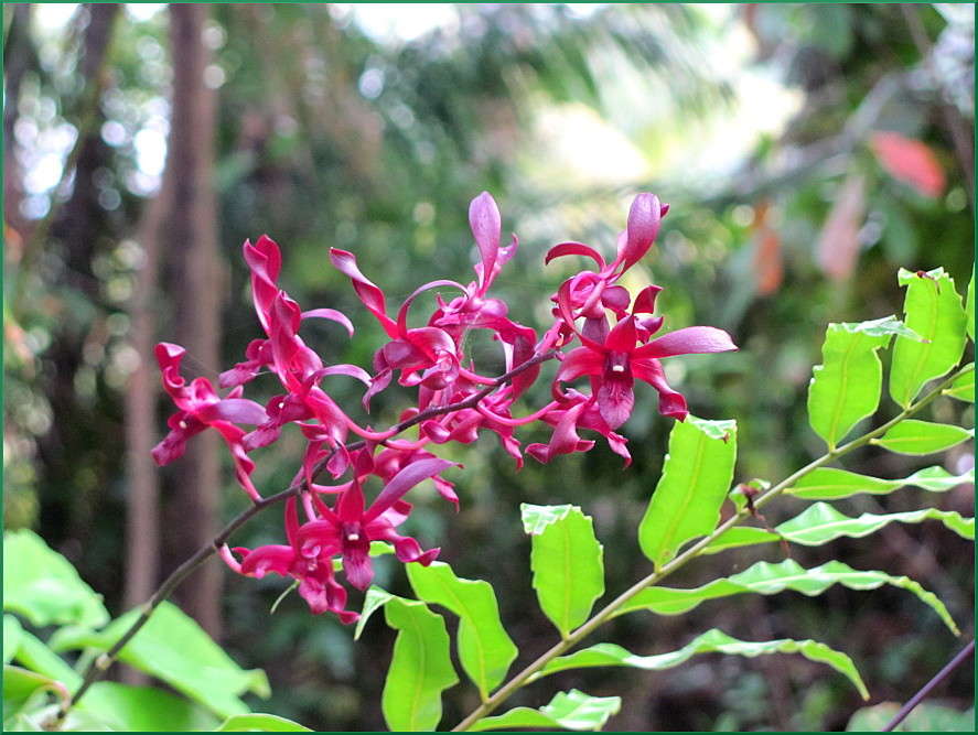 ��� �� ������ � ��������,������ �������... ����� �������  �� PhotoGeek.ru #������ ��� ������� #����� ��������������