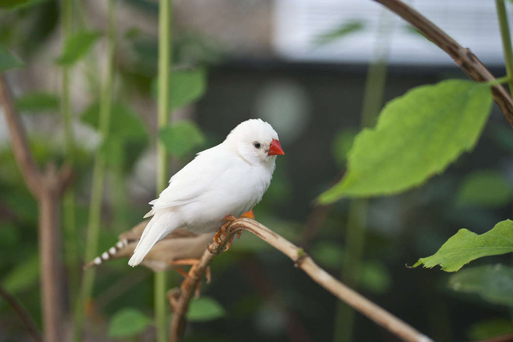 ������ ����� �������  �� PhotoGeek.ru #�������� ��� #������ ��� �������