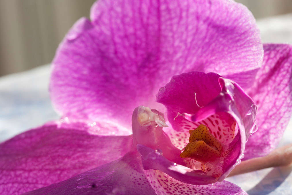 ������� ����� �������  �� PhotoGeek.ru #����� #������ ��� ������� #����� ��������������