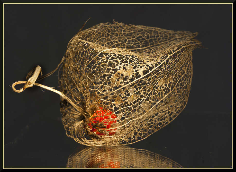 ������� ����� �������  �� PhotoGeek.ru #�����