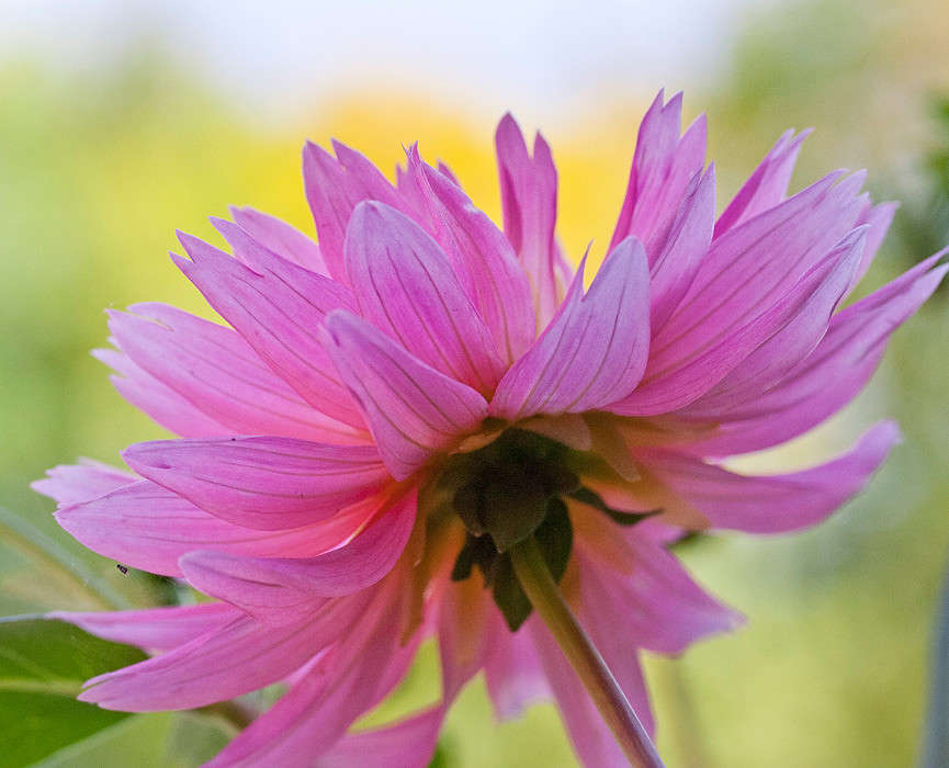 ������� ����� �������  �� PhotoGeek.ru #������ ��� ������� #����� ��������������