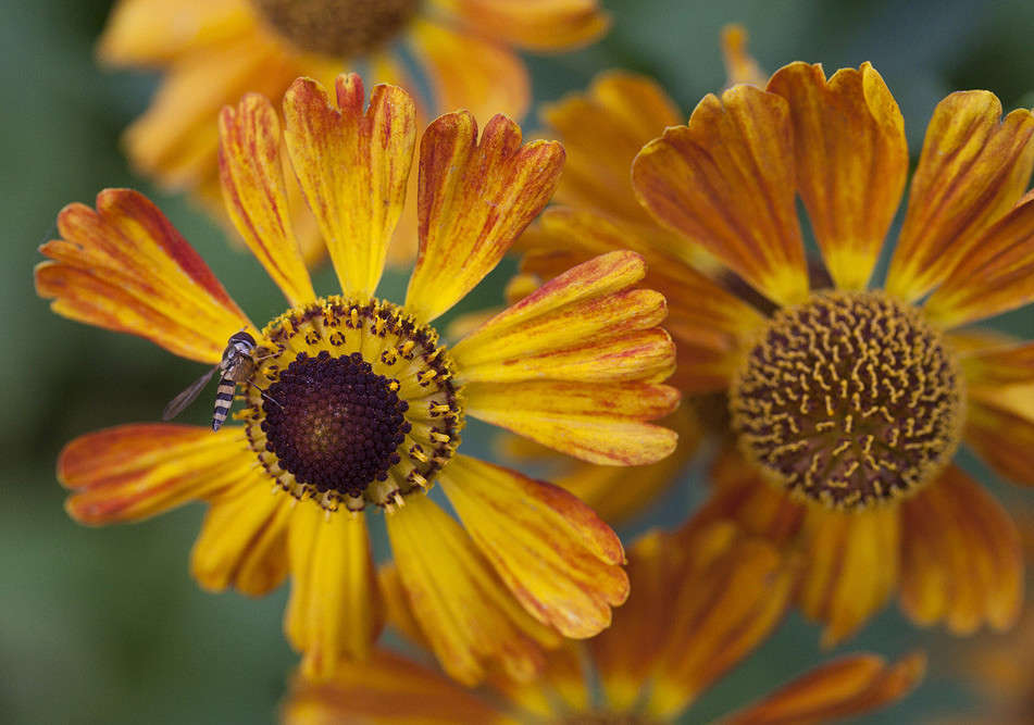 ����� ����� �������  �� PhotoGeek.ru #������ ��� ������� #����� ��������������