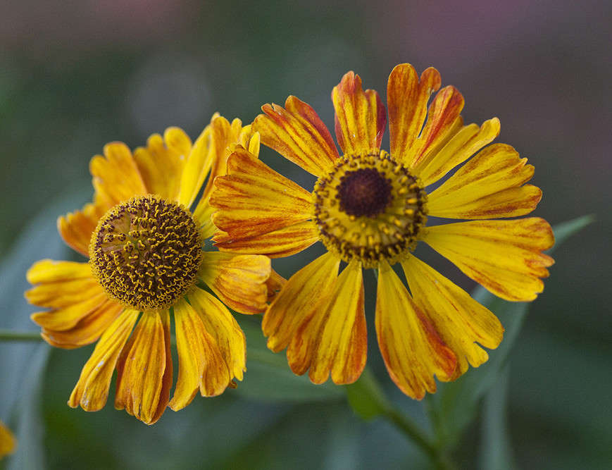 *** ����� �������  �� PhotoGeek.ru #������ ��� ������� #����� ��������������