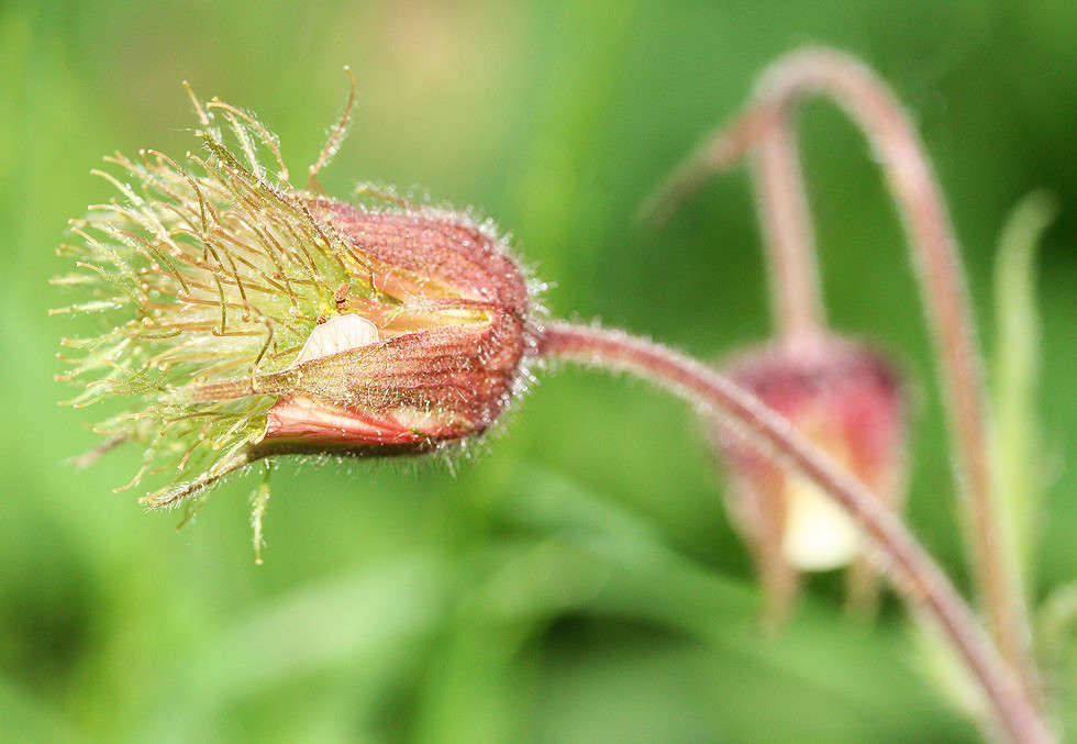 ... ����� �������  �� PhotoGeek.ru #������ ��� ������� #����� ��������������