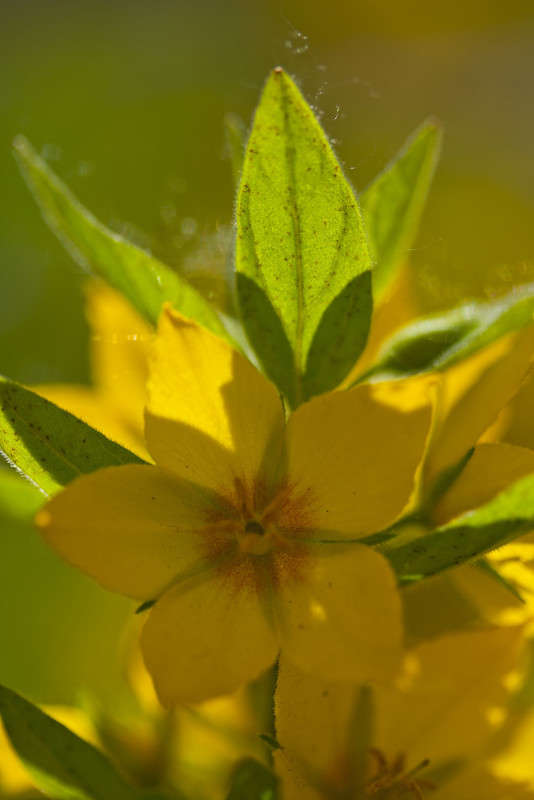 ... ����� �������  �� PhotoGeek.ru #������ ��� ������� #����� ��������������