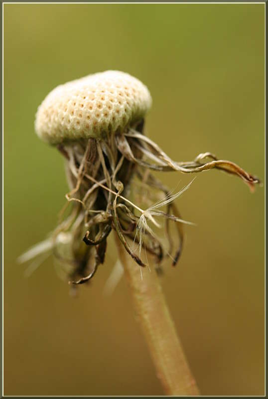 ����� ����� �������  �� PhotoGeek.ru #������ ��� ������� #����� ��������������