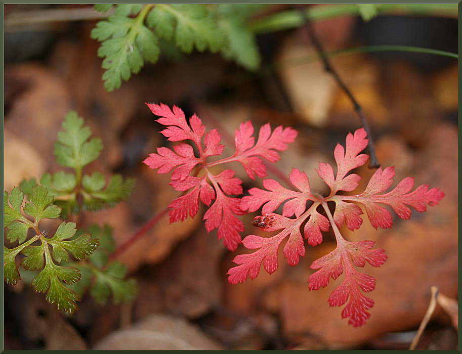 �������� ����� �������  �� PhotoGeek.ru #������ ��� ������� #����� ��������������