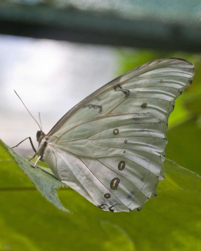 ������� ����� �������  �� PhotoGeek.ru #������ ��� �������