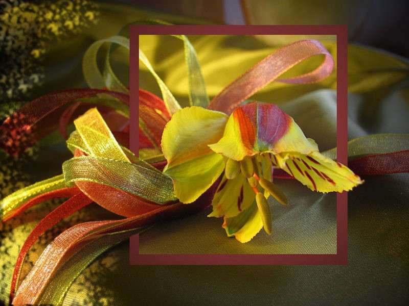 �������� ����� �������  �� PhotoGeek.ru #�����