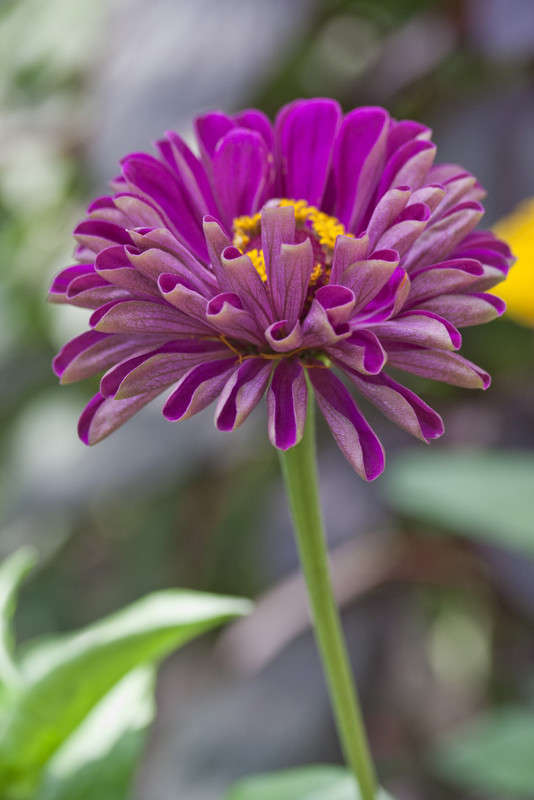 ... ����� �������  �� PhotoGeek.ru #������ ��� ������� #����� ��������������